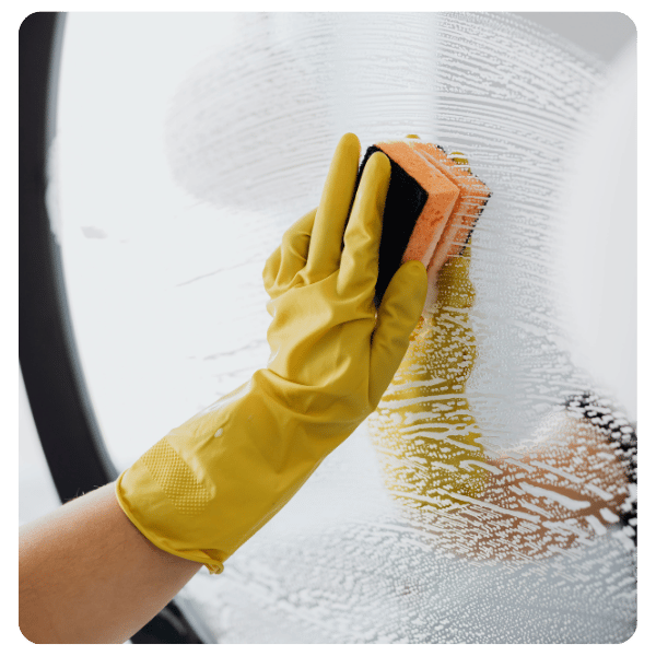 deep cleaning section image