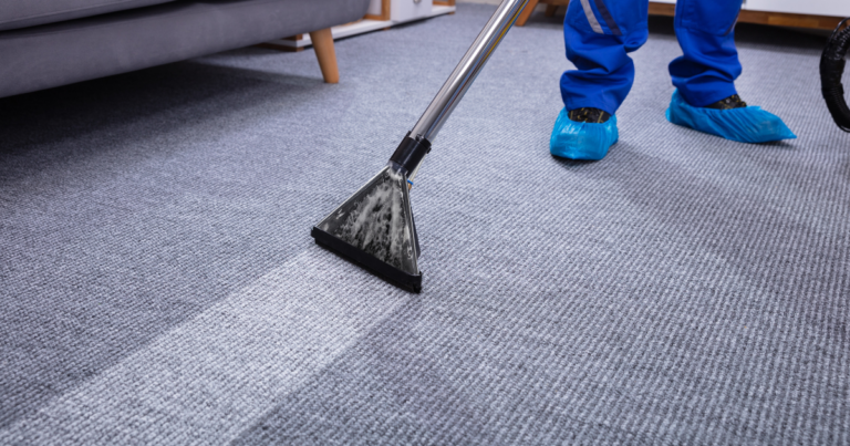 carpet cleaning being executed by a professional of Cleanadora