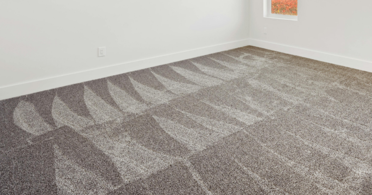 Carpet after a dedicated cleaning service